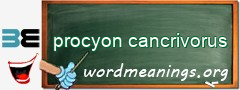 WordMeaning blackboard for procyon cancrivorus